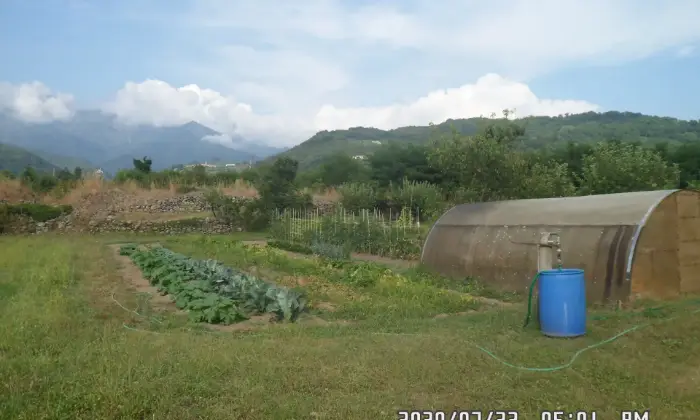 Rexer-Filattiera-Edificio-seminterrato-posto-in-area-fabbricabile-e-terreno-agricolo-attiguo-ettaro-CANTINA