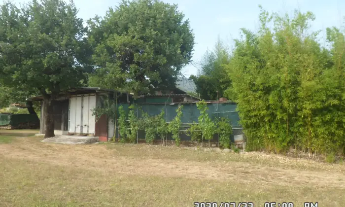 Rexer-Filattiera-Edificio-seminterrato-posto-in-area-fabbricabile-e-terreno-agricolo-attiguo-ettaro-ALTRO