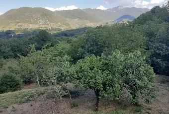 Rexer-Carpineto-Romano-Villa-unifamiliare-con-annesso-terreno-GIARDINO
