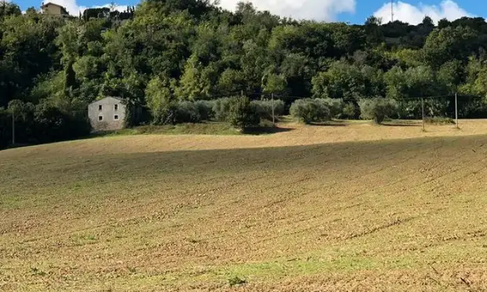 Rexer-Spinetoli-Casale-in-vendita-a-Spinetoli-ALTRO