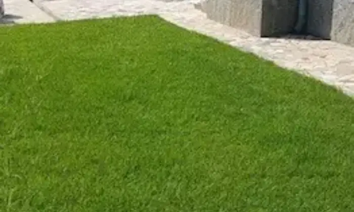 Rexer-Forte-dei-Marmi-Casa-con-giardino-indipendente-GIARDINO