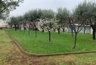 Rexer-Coriano-Rustico-panoramico-con-terreno-in-vendita-a-Coriano-GIARDINO