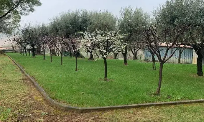 Rexer-Coriano-Rustico-panoramico-con-terreno-in-vendita-a-Coriano-GIARDINO