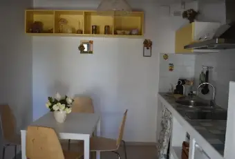 Rexer-Camaiore-Depandance-indipendente-mq-GIARDINO