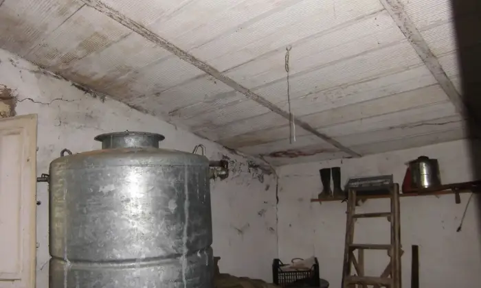 Rexer-Palmoli-Casa-di-campagna-singola-ALTRO