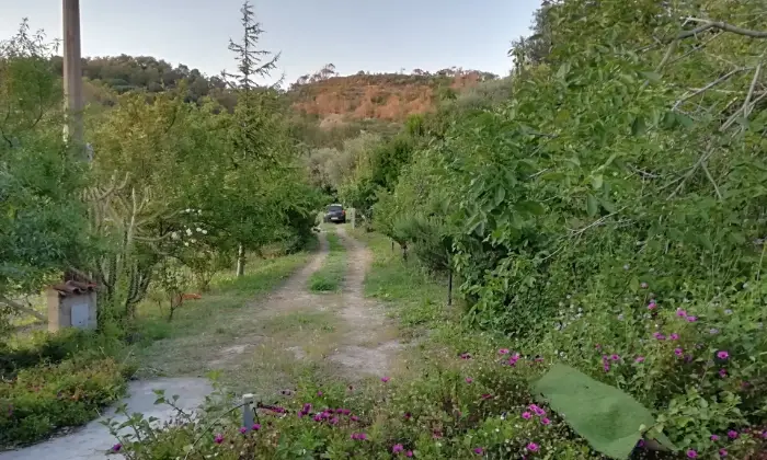 Rexer-Bosa-Villetta-i-Ciliegi-immersa-nei-vigneti-di-Bosa-GIARDINO