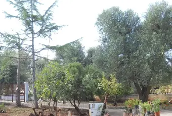 Rexer-Francavilla-Fontana-Villa-Conte-in-Salento-GIARDINO