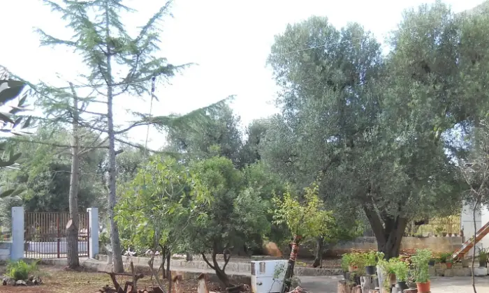 Rexer-Francavilla-Fontana-Villa-Conte-in-Salento-GIARDINO