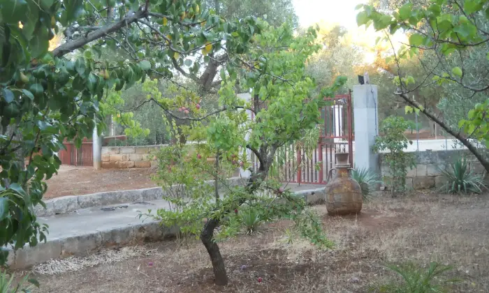 Rexer-Francavilla-Fontana-Villa-Conte-in-Salento-Giardino