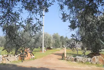 Rexer-Ceglie-Messapica-Casa-Zappa-Dargento-GIARDINO