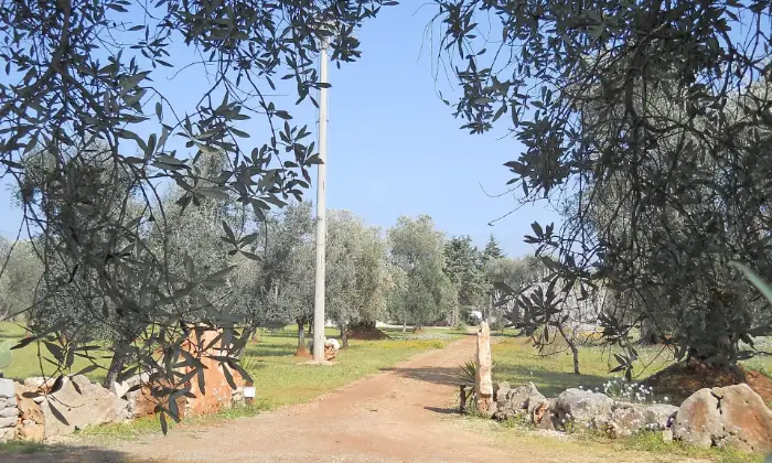 Rexer-Ceglie-Messapica-Casa-Zappa-Dargento-GIARDINO