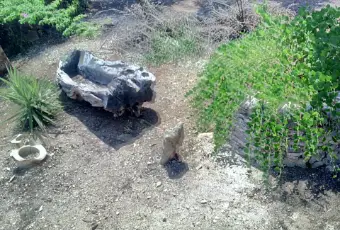 Rexer-Ceglie-Messapica-TRULLO-ZAPPA-DARGENTO-fittovendo-GIARDINO