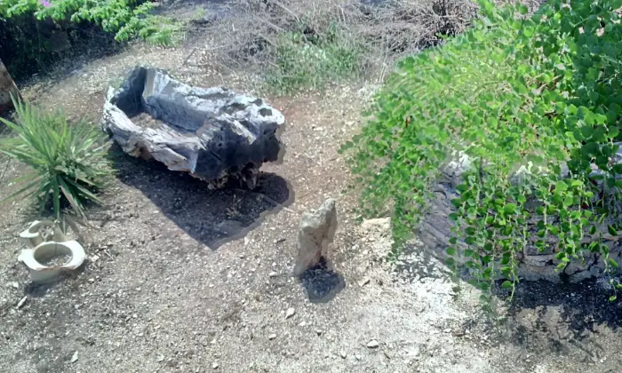 Rexer-Ceglie-Messapica-TRULLO-ZAPPA-DARGENTO-fittovendo-GIARDINO
