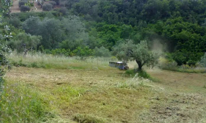 Rexer-Torano-Castello-Terreno-con-rustico-di-recente-costruzione