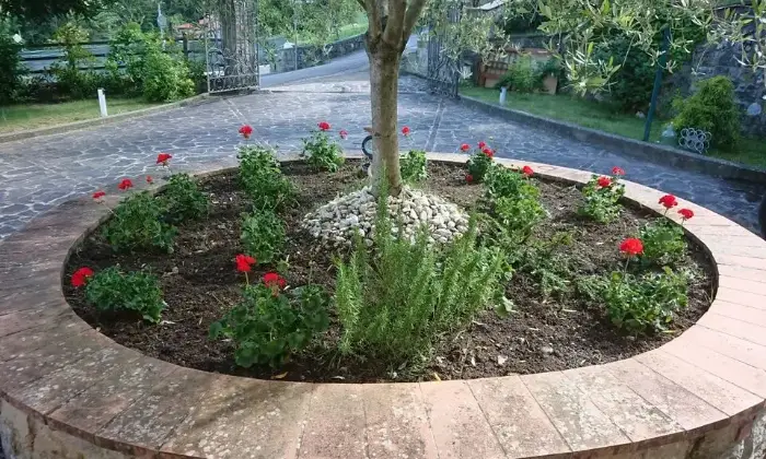 Rexer-Talla-Villa-in-vendita-nella-Frazione-di-Faltona-AR-ALTRO