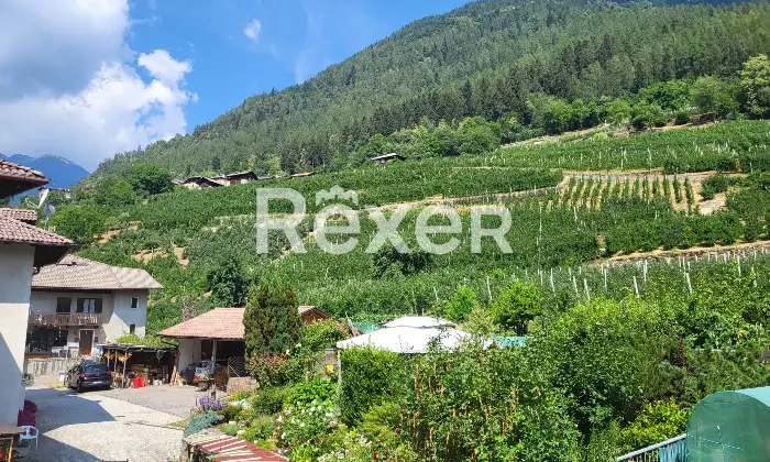 Rexer-Terzolas-Terratetto-plurifamiliare-vicolo-Alto-Terzolas-TN-da-ristrutturare-Altro