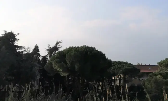 Rexer-Bordighera-Trilocale-ristrutturato-in-zona-centrale-vicino-al-mare-TERRAZZO