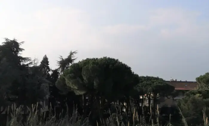 Rexer-Bordighera-Trilocale-ristrutturato-in-zona-centrale-vicino-al-mare