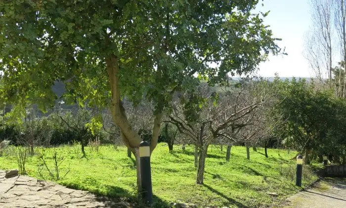Rexer-Cinisi-Villa-Casa-indipendente-in-piano-margi-Cinisi-GIARDINO