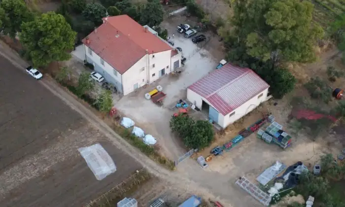Rexer-San-Martino-in-Pensilis-Azienda-Agricola-in-Molise-ALTRO