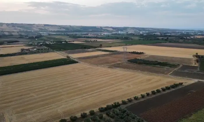 Rexer-San-Martino-in-Pensilis-Azienda-Agricola-in-Molise-ALTRO
