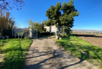 Rexer-San-Martino-in-Pensilis-Azienda-Agricola-in-Molise-ALTRO