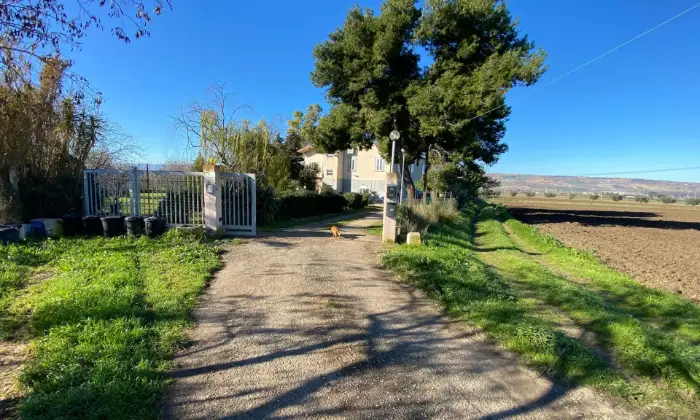Rexer-San-Martino-in-Pensilis-Azienda-Agricola-in-Molise-ALTRO