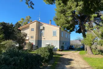 Rexer-San-Martino-in-Pensilis-Azienda-Agricola-in-Molise-ALTRO