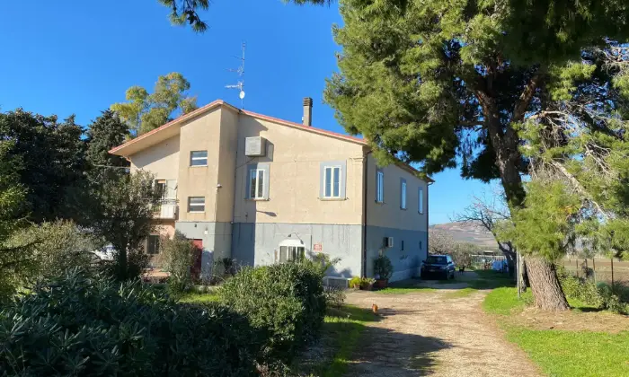 Rexer-San-Martino-in-Pensilis-Azienda-Agricola-in-Molise-ALTRO