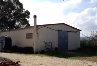 Rexer-San-Martino-in-Pensilis-Azienda-Agricola-in-Molise-GARAGE