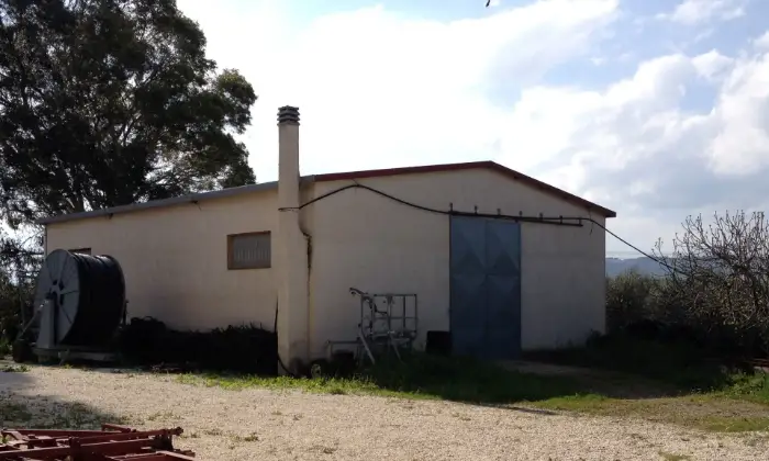 Rexer-San-Martino-in-Pensilis-Azienda-Agricola-in-Molise-GARAGE