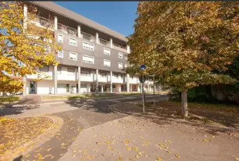 Rexer-Pontedera-Appartamento-in-oliviero-bagnoli-Pontedera-ALTRO