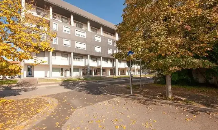 Rexer-Pontedera-Appartamento-in-oliviero-bagnoli-Pontedera-ALTRO