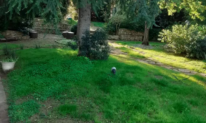Rexer-Cellamare-Vivere-in-campagna-vicina-al-centro-abitato-SALONE