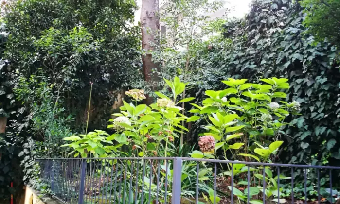 Rexer-Roma-AFFITTASI-APPARTAMENTO-PIANO-TERRA-GIARDINO