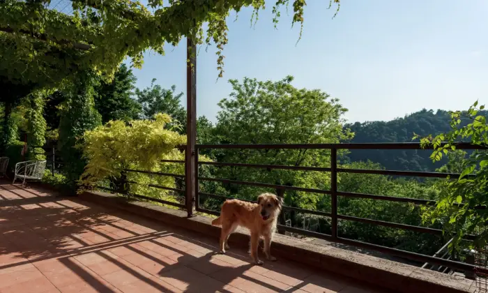 Rexer-Zola-Predosa-Spendido-bilocale-in-collina-TERRAZZO