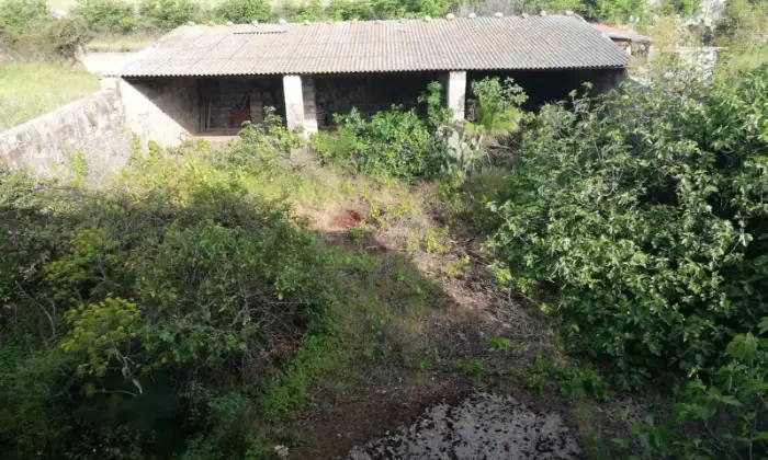Rexer-Abbasanta-Casa-indipendente-in-pieno-centro-GIARDINO