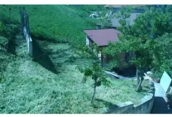 Rexer-Montefiorino-Villa-Casa-indipendente-in-Ceresola-Montefiorino-GIARDINO