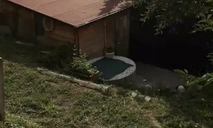 Rexer-Montefiorino-Villa-Casa-indipendente-in-Ceresola-Montefiorino-ALTRO