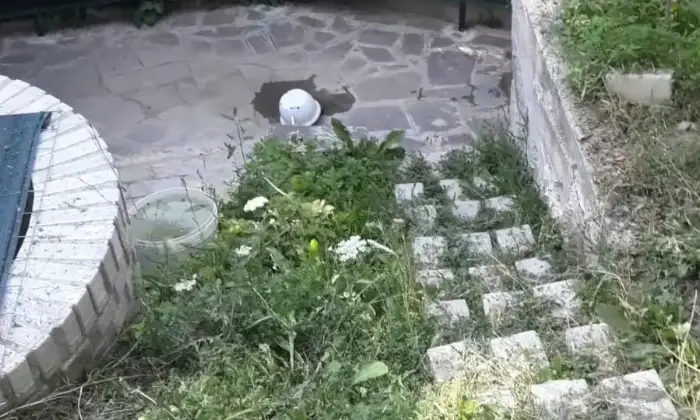 Rexer-Montefiorino-Villa-Casa-indipendente-in-Ceresola-Montefiorino-ALTRO