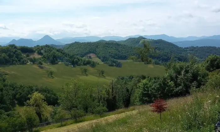 Rexer-Castel-DAiano-Vendesi-Casa-colonica-in-via-Santuario-di-Brasa-a-Castel-dAiano-ALTRO