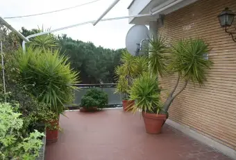 Rexer-Roma-Attico-Mansarda-a-Roma-TERRAZZO