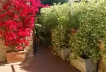 Rexer-Roma-Attico-Mansarda-a-Roma-TERRAZZO