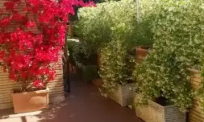 Rexer-Roma-Attico-Mansarda-a-Roma-TERRAZZO