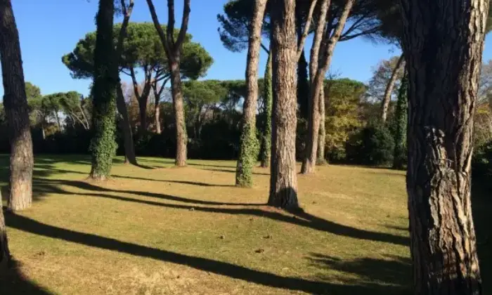 Rexer-Roma-Splendida-villa-di-lusso-GIARDINO