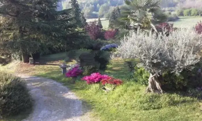 Rexer-Cerrione-Villa-Casa-indipendente-in-Cascina-Frere-Cerrione-ALTRO