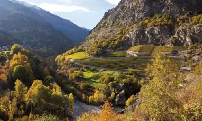 Rexer-Arvier-Vendesi-appartamento-in-Via-Corrado-Gex-a-Arvier-AO-Altro