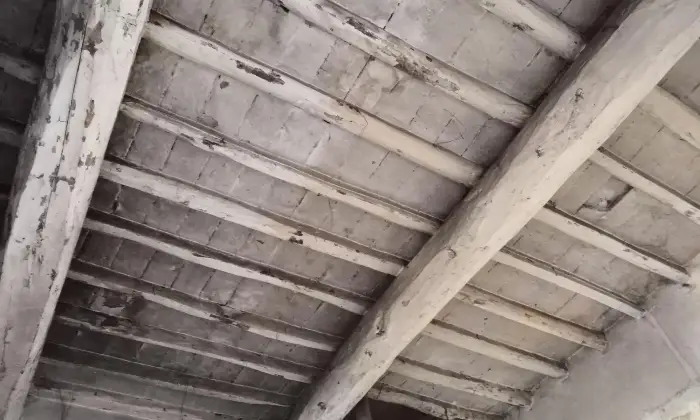 Rexer-Certaldo-Porzione-di-casa-colonica-in-vendita-a-Certaldo-Altro