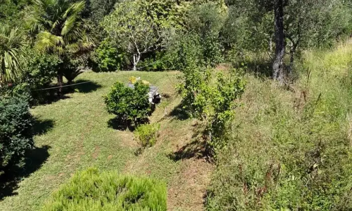 Rexer-Massarosa-Vendesi-Terratetto-plurifamiliare-in-Via-Pariglia-a-Massarosa-LU-GIARDINO