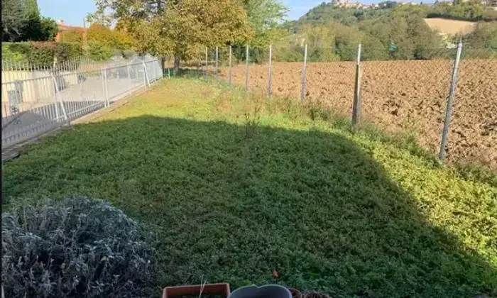 Rexer-Pesaro-Vendesi-casa-in-campagna-GIARDINO